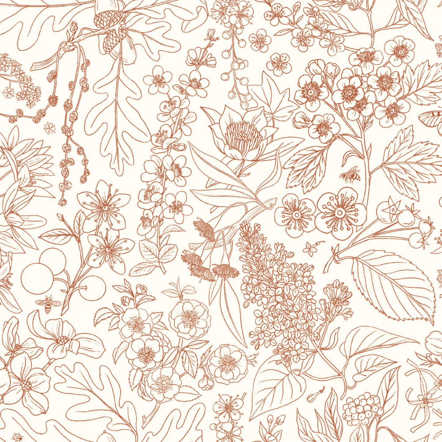 GEORGIA'S PEIPEI: Terracotta Line Art