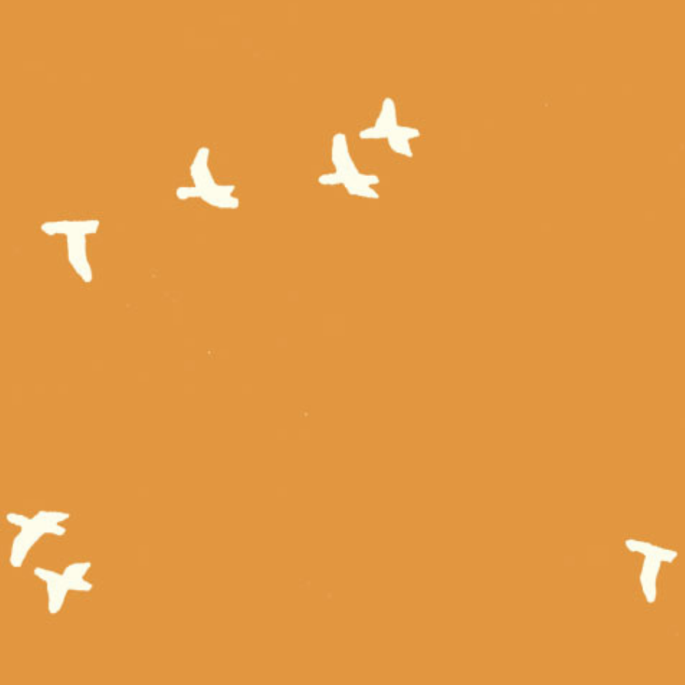 MRS. MICHAUD'S PEACE PEIPEI: Flight Butterscotch