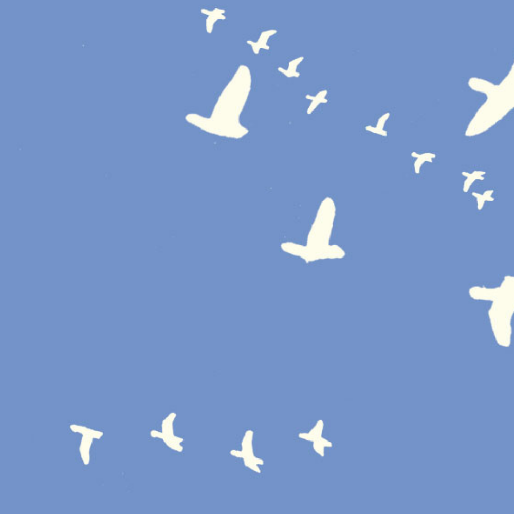 MRS. MICHAUD'S PEACE PEIPEI: Flight Blue
