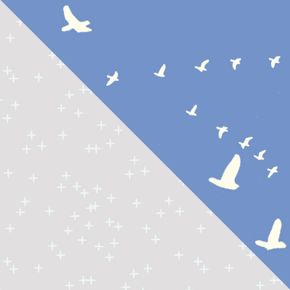 MRS. MICHAUD'S PEACE PEIPEI: Flight Blue