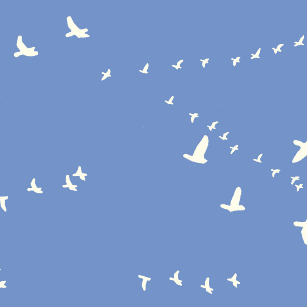 BABY MONTAS'S PEIPEI: Flight Cornflower