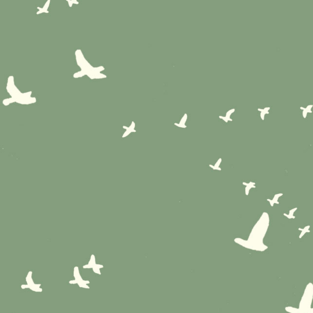 MRS. MICHAUD'S PEACE PEIPEI: Flight Green