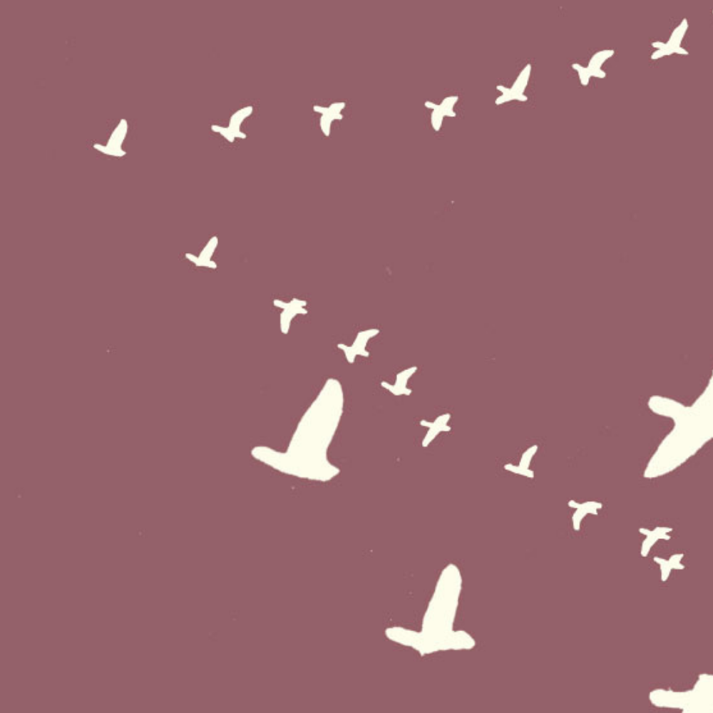 MRS. MICHAUD'S PEACE PEIPEI: Flight Purple