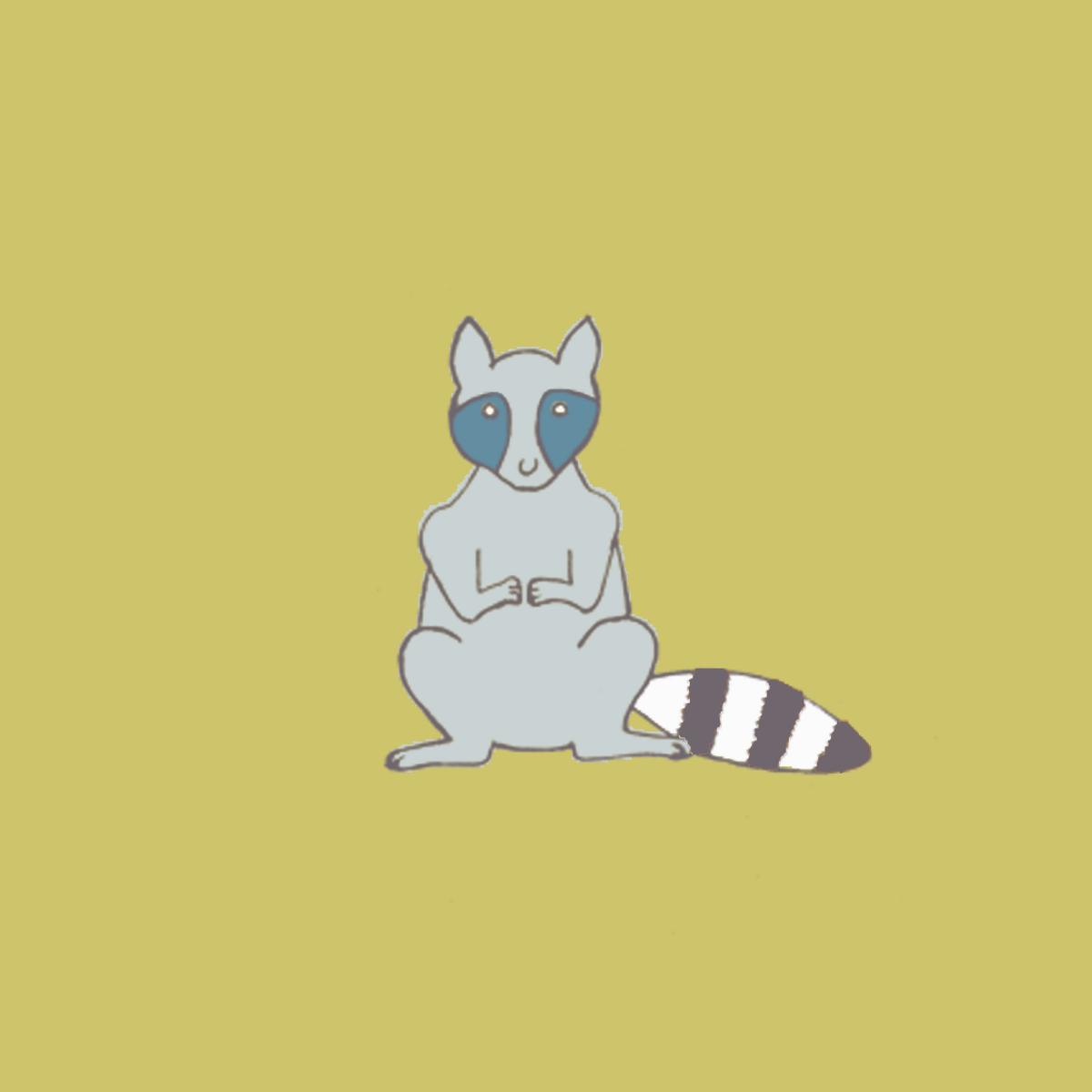 KARA'S PEIPEI: Racoon