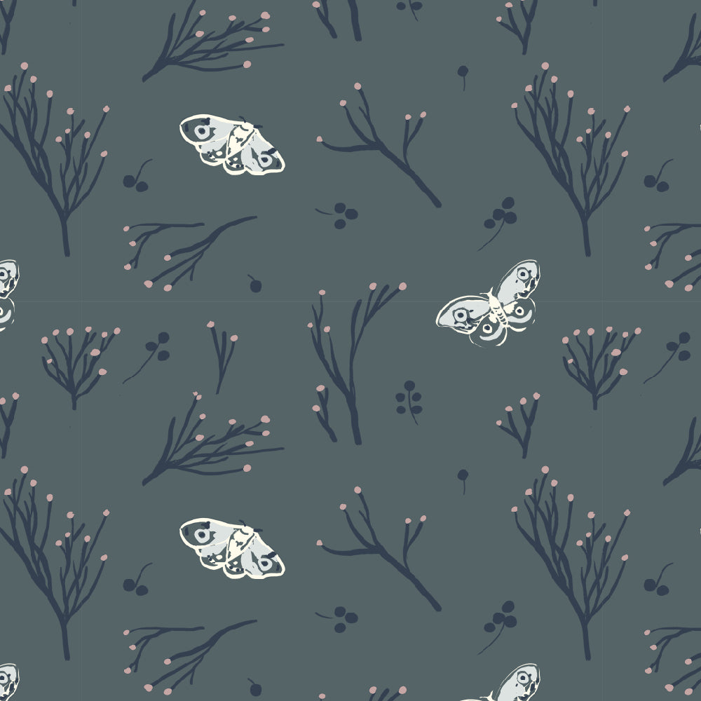 MRS. RICHARDSON'S PEIPEI: Butterflies on Slate
