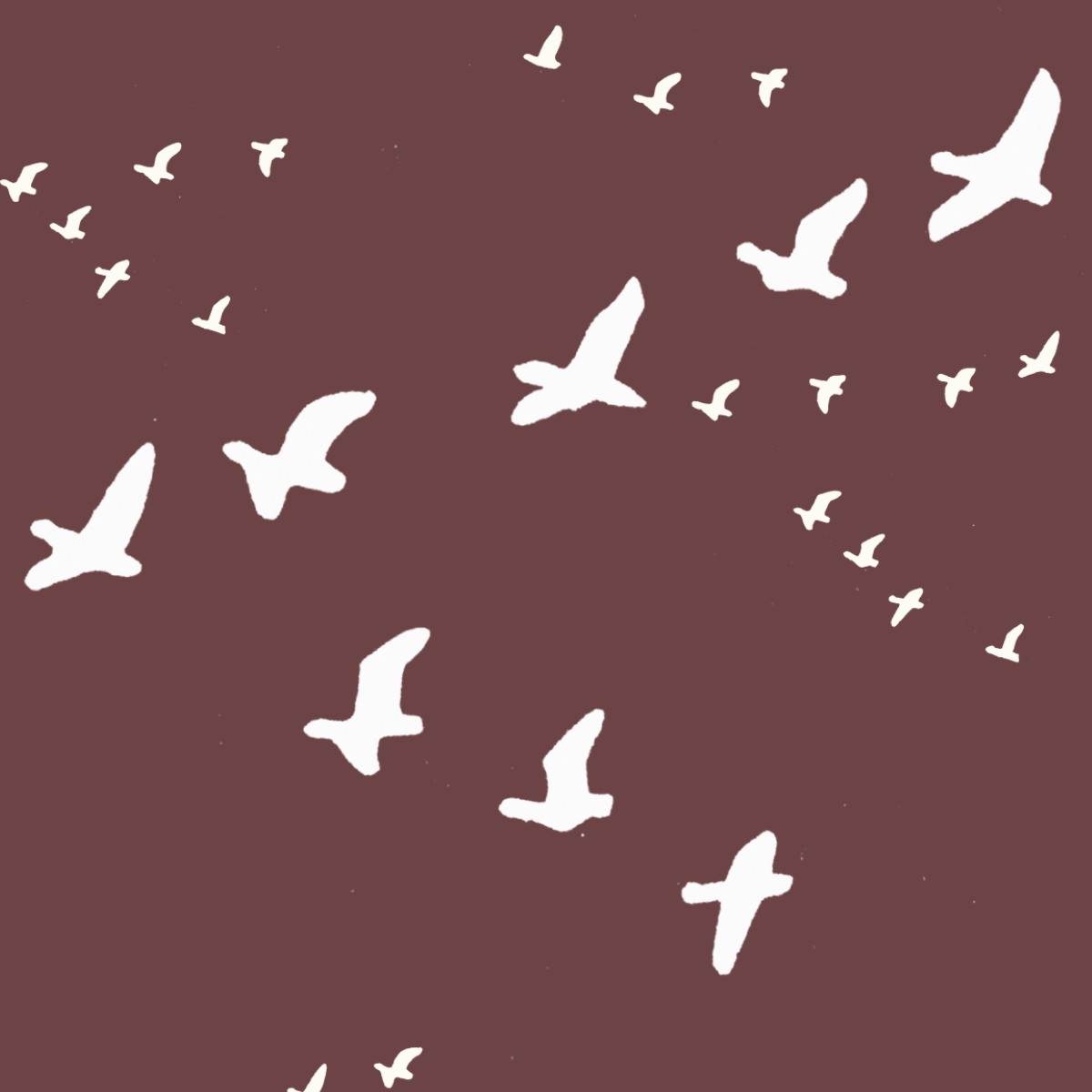 CALEB BROOKS' PEIPEI: Flock in Flight