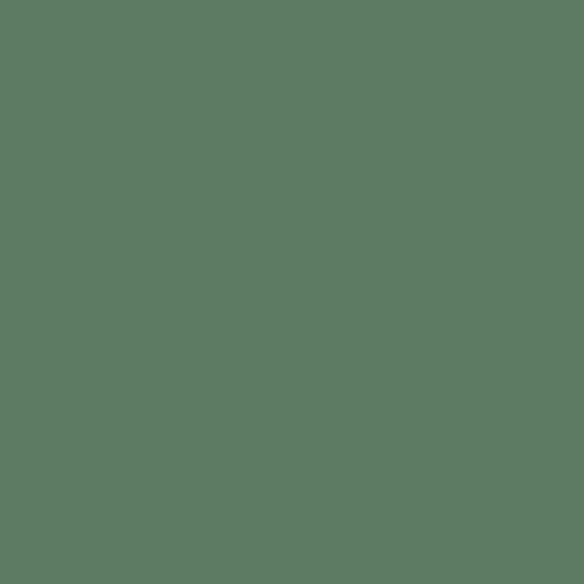 BABY'S PEIPEI: Eucalyptus